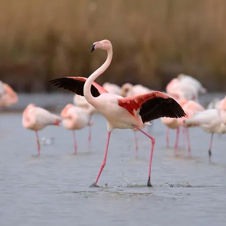 Appartement Le Serpent De Mer-2 By Interhome *